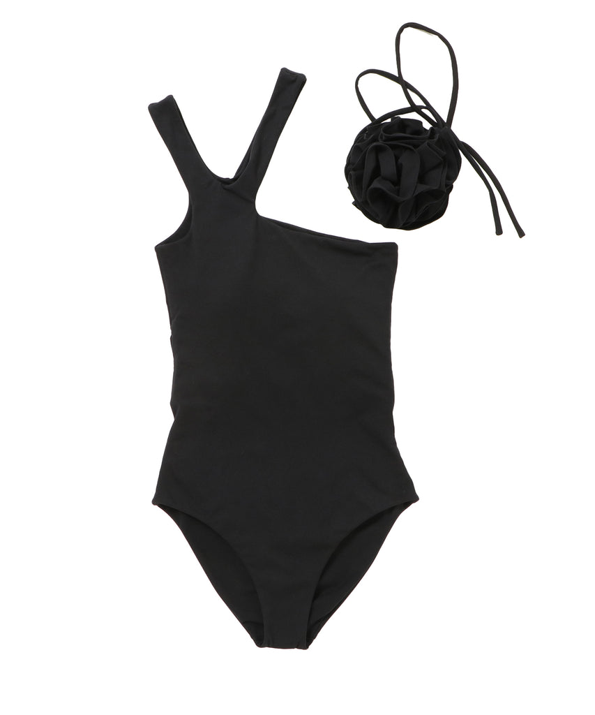 Starfish— LUDLOW STORE